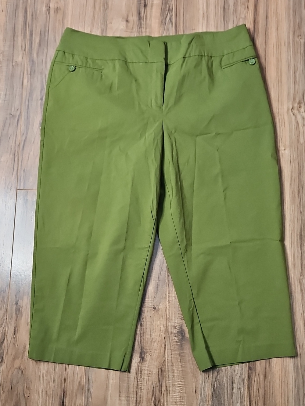 Lane Bryant Classic Green Pants 20